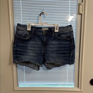 Womens BKE Payton Skinny Cutoff Shorts Size 32